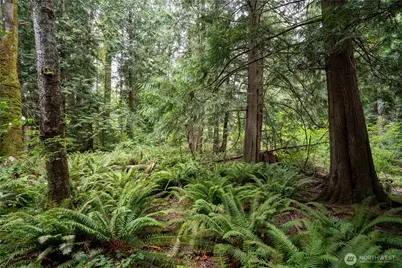 0 Nhn E Horton Road, Bellingham, WA 98226 - Photo 4