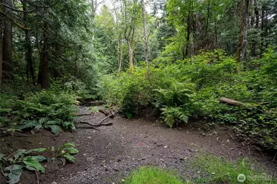 0 Nhn E Horton Road, Bellingham, WA 98226 - Photo 12