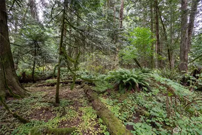 0 Nhn E Horton Road, Bellingham, WA 98226 - Photo 18