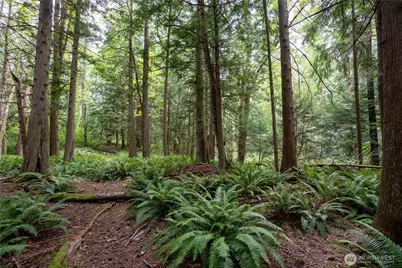 0 Nhn E Horton Road, Bellingham, WA 98226 - Photo 10