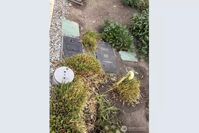 8209 144th Place SE, Newcastle, WA 98059 - Photo 8