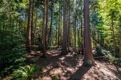 3695 Grandview Road, Ferndale, WA 98248 - Photo 40