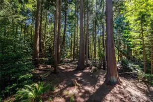 3695 Grandview Rd, Ferndale, WA 98248 - Photo 40
