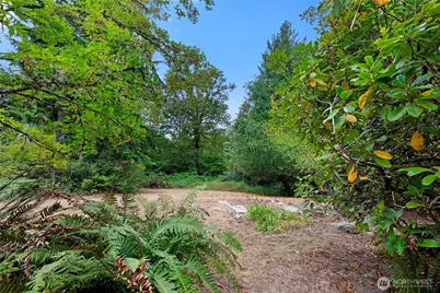 12901 Sunrise Drive NE, Bainbridge Island, WA 98110 - Photo 38