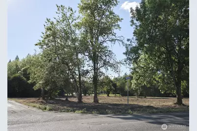 0 SW 27th Street, Battle Ground, WA 98604 - Photo 1