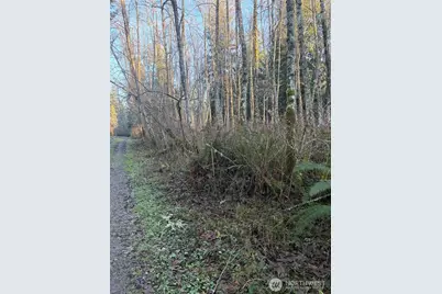 4 Xx House Place, Camano Island, WA 98282 - Photo 4