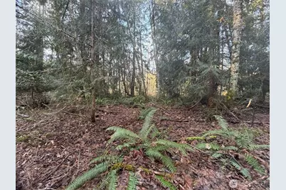 4 Xx House Place, Camano Island, WA 98282 - Photo 10