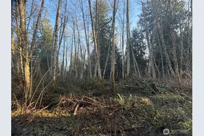4 Xx House Place, Camano Island, WA 98282 - Photo 12