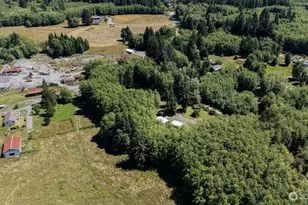 51 Ironman Rd, Forks, WA 98331 - Photo 6