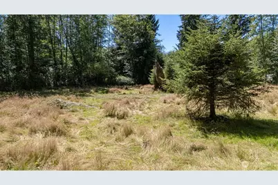 51 Ironman Road, Forks, WA 98331 - Photo 30