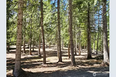 2461 Big Horn Way, Cle Elum, WA 98922 - Photo 38