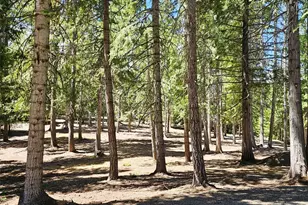2461 Big Horn Way, Cle Elum, WA 98922 - Photo 38