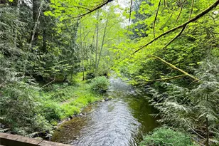 423 Lords Lake Loop, Quilcene, WA 98376 - Photo 30