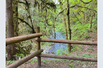 423 Lords Lake Loop, Quilcene, WA 98376 - Photo 26