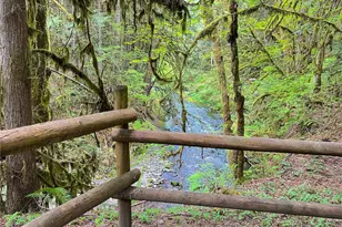 423 Lords Lake Loop, Quilcene, WA 98376 - Photo 26