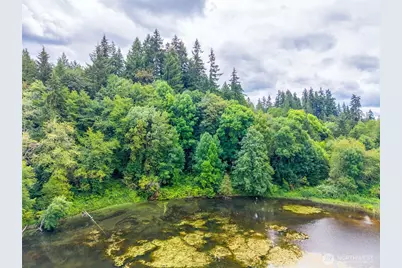 27120 NE 152nd Street, Duvall, WA 98019 - Photo 12