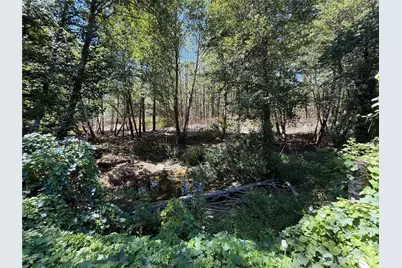 795 Wynoochee Valley Road, Montesano, WA 98563 - Photo 28