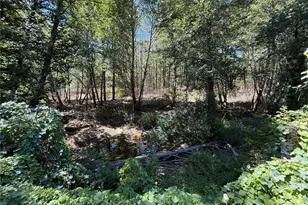 795 Wynoochee Valley Rd, Montesano, WA 98563 - Photo 28