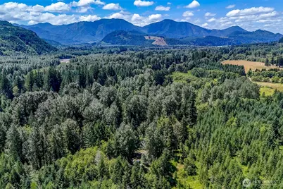 20815 Sate Route 706 E, Elbe, WA 98330 - Photo 32