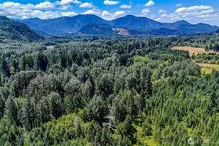 20815 Sate Route 706 E, Elbe, WA 98330 - Photo 32
