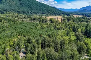 20815 Sate Route 706 E, Elbe, WA 98330 - Photo 30