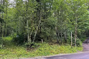 355 Xx SE Courtney Rd, Ravensdale, WA 98051 - Photo 1