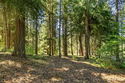171 Dundee Road, Ronald, WA 98940 - Photo 4