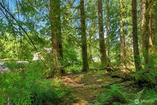 32893 S Shore Dr, Mount Vernon, WA 98274 - Photo 16