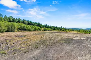 805 Luebke Rd, Toutle, WA 98649 - Photo 28