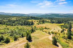 805 Luebke Rd, Toutle, WA 98649 - Photo 34
