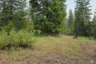 443421 Sr-20, Newport, WA 99156 - Photo 32