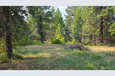 443421 Sr-20, Newport, WA 99156 - Photo 26