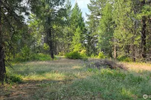 443421 Sr-20, Newport, WA 99156 - Photo 26