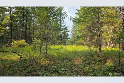 443421 Sr-20, Newport, WA 99156 - Photo 30