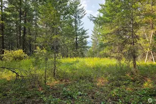 443421 Sr-20, Newport, WA 99156 - Photo 30