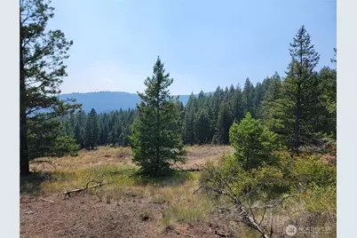 181 New Hope Drive, Malo, WA 99150 - Photo 18