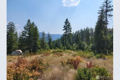 181 New Hope Drive, Malo, WA 99150 - Photo 22