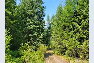 181 New Hope Drive, Malo, WA 99150 - Photo 2