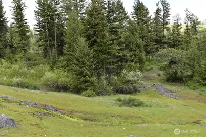 181 New Hope Drive, Malo, WA 99150 - Photo 26
