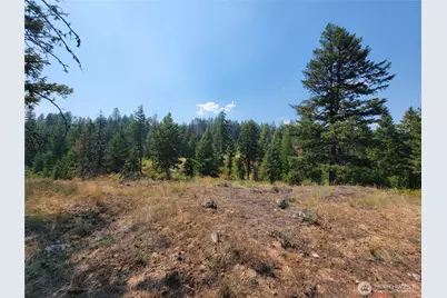 181 New Hope Drive, Malo, WA 99150 - Photo 20