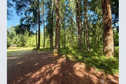 334 Harmon Road, Chehalis, WA 98532 - Photo 26