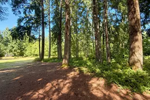 334 Harmon Rd, Chehalis, WA 98532 - Photo 26