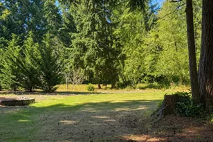 334 Harmon Rd, Chehalis, WA 98532 - Photo 34