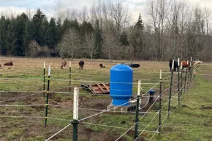 237 Collins Rd, Toledo, WA 98591 - Photo 24