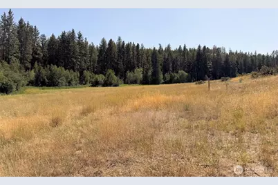 1 Miles/Creston Road E, Creston, WA 99117 - Photo 4