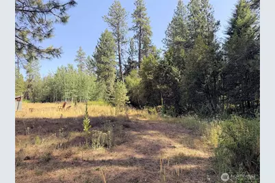2 Miles/Creston Road E, Creston, WA 99117 - Photo 12