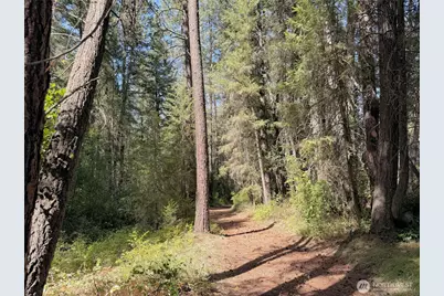 2 Miles/Creston Road E, Creston, WA 99117 - Photo 18