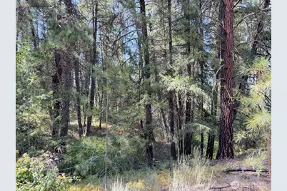 2 Miles/Creston Road E, Creston, WA 99117 - Photo 36