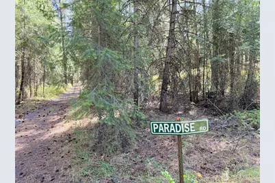 2 Miles/Creston Road E, Creston, WA 99117 - Photo 16