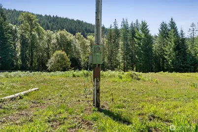 38 Ray Road, Elma, WA 98541 - Photo 6